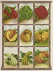 Pumpkin Painting - Genesee Valley Lithograph & Co.. — artwork view