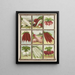 Radis - Genesee Valley Lithograph & Co.. — framed artwork on a wall