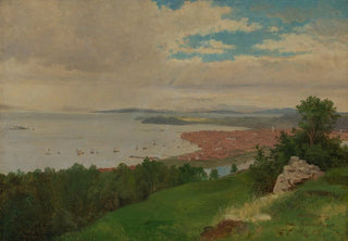 Georg Eduard Otto Saal - Blick auf Trondhjem.webp