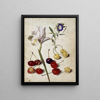 Georg Flegel - Spanish iris morning glory and cherries.webp