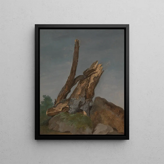 George Augustus Wallis - Study of Rocks and Branches.webp