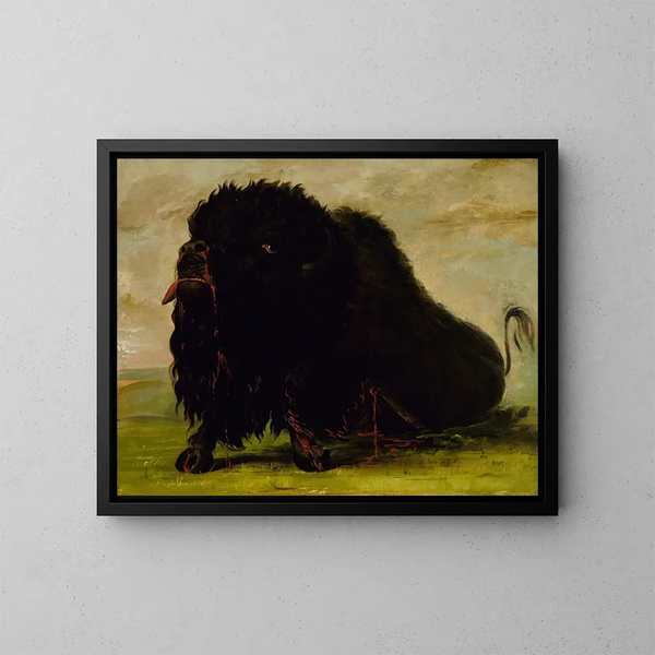 Bison moribundo golpeado por una flecha - George Catlin — cuadro enmarcado en la pared