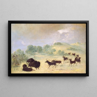 George Catlin - Elk and Buffalo Making Acquaintance Texas.webp