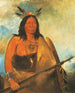 Kotsokrok Cabello del cuello de los toros, un jefe - George Catlin — vista de la obra