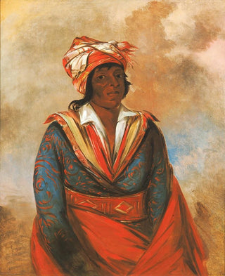 George Catlin - Ktteeotbbee How Did He Kill a Noted Brave.webp