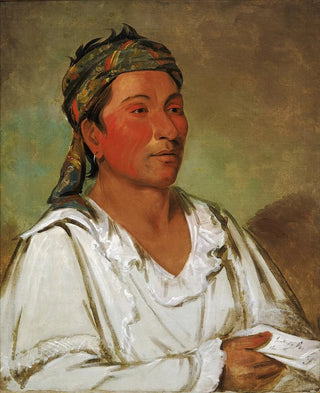George Catlin - Layloahpeeisheekaw Grass Bush and Blossom Semicivilized.webp