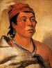 Round Island, un guerrier - George Catlin — vista de la obra