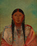 Ru-Ton-Wee-Me Pigeon sur l'aile - George Catlin — artwork view