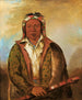 Shee-Nh-Wee - George Catlin — vista de la obra