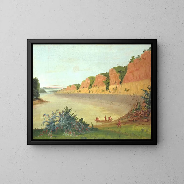 Côté sud de l'île Buffalo montrant des baies de buffle au premier plan - George Catlin — framed artwork on a wall