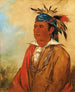 WahPnJeeA El Cisne un Guerrero - George Catlin — vista de la obra