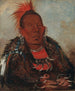 WahRoNeSah painting, the encircled chief of the tribe - George Catlin — artwork view