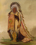 WnEeTon Chief of the Tribe - George Catlin — artwork view