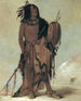 Wnnestou White Buffalo, un viejo sanador - George Catlin — vista de la obra