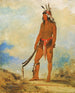 WonDeTwA La Merveille - George Catlin — vista de la obra