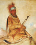 WyEeYogh Man of common sense a brave - George Catlin — artwork view