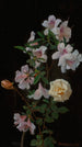 Flores de primavera - George Cochran Lambdin — vista de la obra