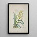 Mon jardin à Ceylan Pl012 - George De Alwis — framed artwork on a wall