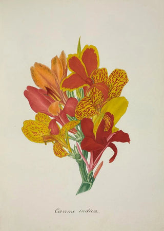 George De Alwis - Mon Jardin a Ceylan Pl052.webp