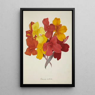 George De Alwis - Mon Jardin a Ceylan Pl053.webp