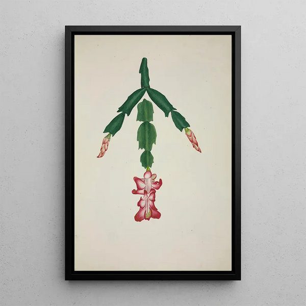 George De Alwis - Mon Jardin a Ceylan Pl059.webp
