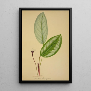 George De Alwis - Mon Jardin a Ceylan Pl096.webp