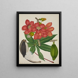 George De Alwis - Mon Jardin a Ceylan Pl113.webp