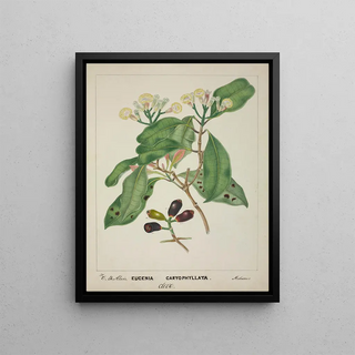 George De Alwis - Mon Jardin a Ceylan Pl119.webp