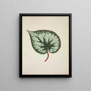 George De Alwis - Mon Jardin a Ceylan Pl174.webp