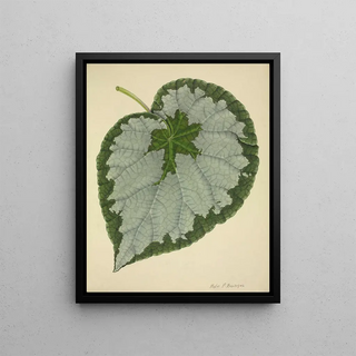 George De Alwis - Mon Jardin a Ceylan Pl186.webp