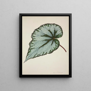 George De Alwis - Mon Jardin a Ceylan Pl190.webp