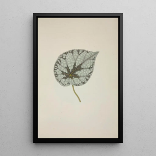 George De Alwis - Mon Jardin a Ceylan Pl229.webp