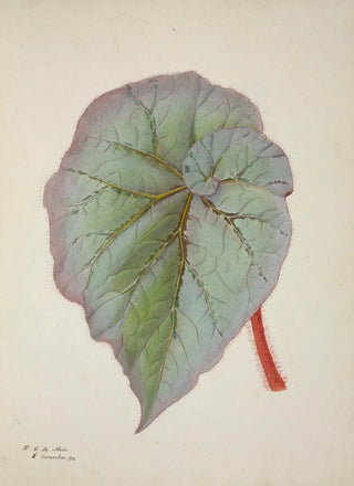 George De Alwis - Mon Jardin a Ceylan Pl232.webp