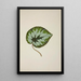 Mon Jardin à Ceylan Pl245 - George De Alwis — framed artwork on a wall