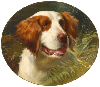 George Earl - A Brittany spaniel.webp