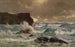 Una mar agitada en Moeraki - George Edmund Butler — vista de la obra