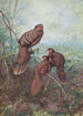 Pheasant Peacock Gray - George Edward Lodge — artwork view