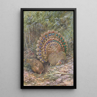 George Edward Lodge - Malay Peacock Pheasant.webp