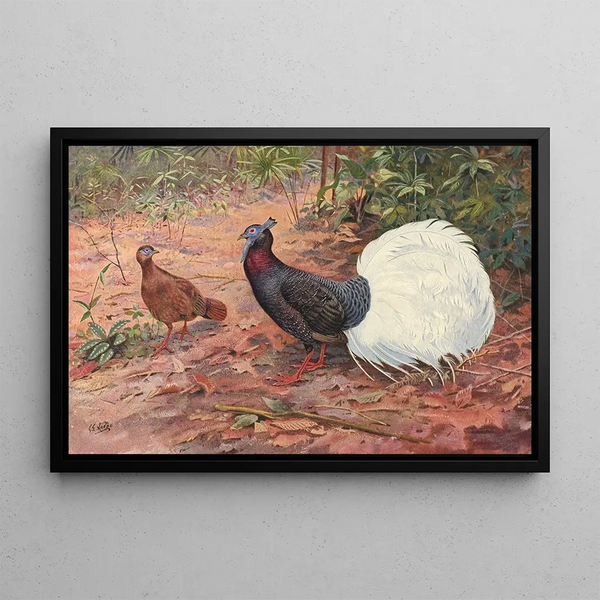 George Edward Lodge - WhiteTailed Wattled Pheasant.webp