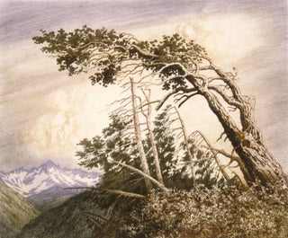 Maison des vents n° 2 - George Elbert Burr — vista de la obra