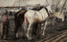 Caballos de trabajo en Houthaven, Ámsterdam - George Hendrik Breitner — vista de la obra