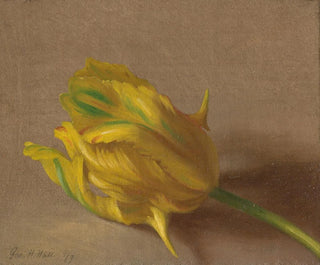 Tulipe - George Henry Hall — vista de la obra