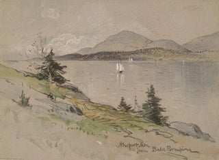 Montaña de Newport desde el Puercoespín calvo - George Henry Smillie — vista de la obra