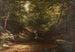 Cascade dans la forêt - George Hetzel — artwork view