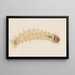 de acuarela de entomología Pl032 - George Hudson — cuadro enmarcado en la pared