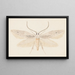 Entomología acuarela Pl080 - George Hudson — cuadro enmarcado en la pared