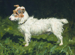 Piper, un terrier Jack Russell - George Paice — vista de la obra