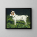Piper, un terrier Jack Russell - George Paice — cuadro enmarcado en la pared