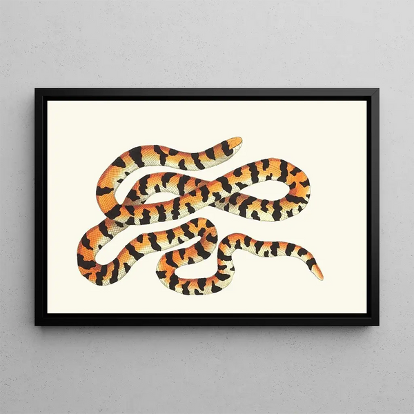 George Shaw - THE PAINTED SNAKE.webp