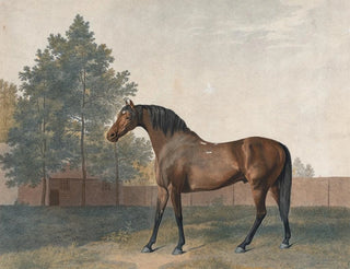 Enclume - George Stubbs — vista de la obra